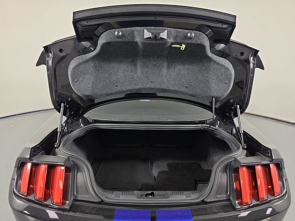 2018 Ford Mustang Shelby GT350
