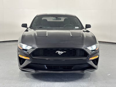 2019 Ford Mustang EcoBoost