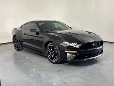 2019 Ford Mustang EcoBoost
