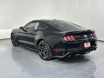 2019 Ford Mustang EcoBoost