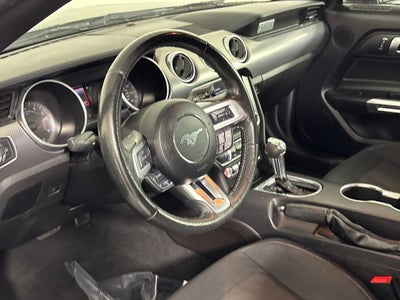 2019 Ford Mustang EcoBoost