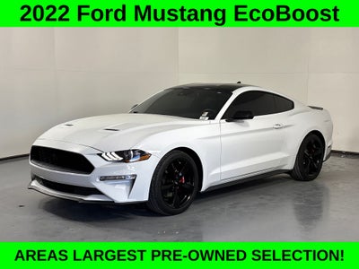 2022 Ford Mustang EcoBoost