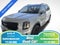 2024 Kia Telluride SX-Prestige X-Pro