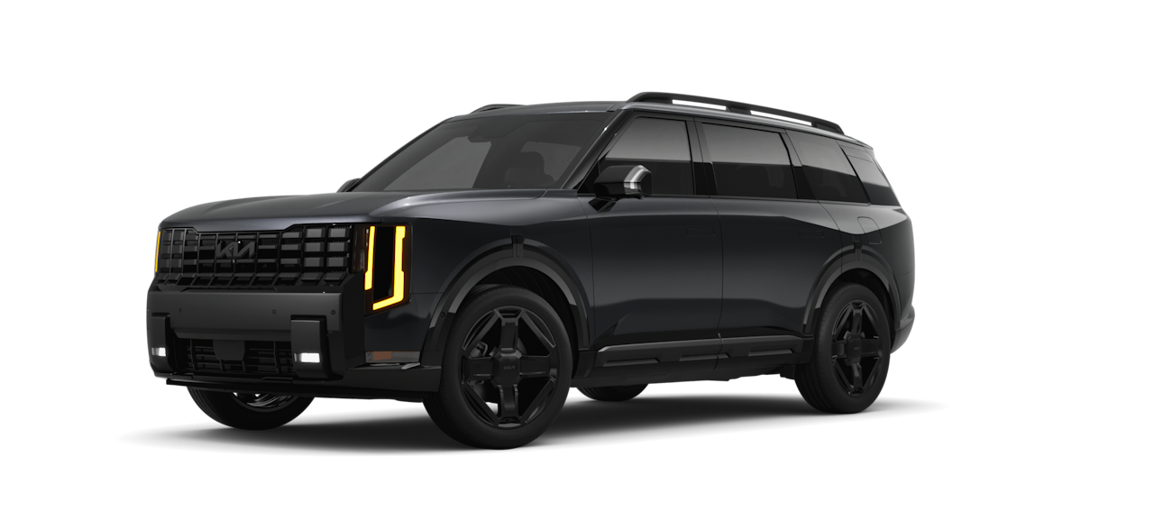 Panthera Metal Gloss